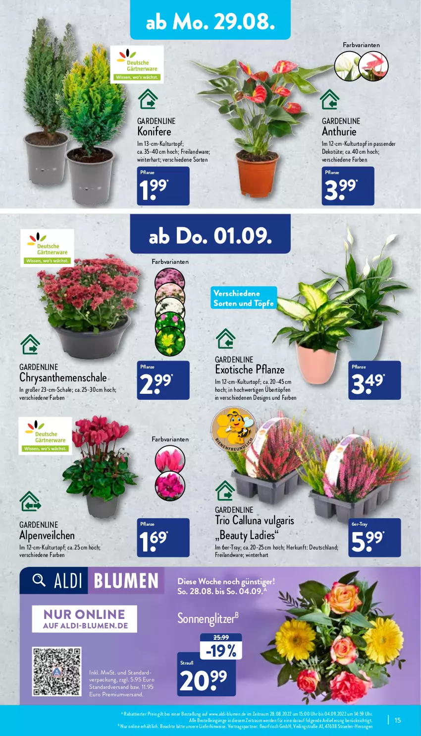 Aktueller Prospekt Aldi Nord - Aldi-Aktuell - von 29.08 bis 03.09.2022 - strona 15 - produkty: aldi, Alpenveilchen, blume, blumen, Blüte, Brei, chrysanthemen, eis, elle, erde, hero, Konifere, kulturtopf, LG, pflanze, reis, Ria, Schal, Schale, Ti, tisch, topf, Tüte, uhr