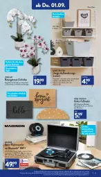 Gazetka promocyjna Aldi Nord - Aldi-Aktuell - Gazetka - ważna od 03.09 do 03.09.2022 - strona 17 - produkty: buch, cin, dell, elle, erde, Fußmatte, gin, koffer, kokos, kopfhörer, Kunstpflanze, latte, lautsprecher, Mode, Mp3, natur, orchidee, pflanze, rwe, Spiele, Ti, topf, usb, Zement, ZTE