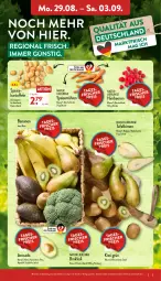 Gazetka promocyjna Aldi Nord - Aldi-Aktuell - Gazetka - ważna od 03.09 do 03.09.2022 - strona 3 - produkty: avocado, banane, bananen, beere, beeren, beutel, Birnen, brokkoli, eis, Elan, himbeer, himbeere, himbeeren, kartoffel, kartoffeln, kiwi, LG, möhren, natur, Schal, Schale, speisemöhren, tafelbirnen, Ti, ZTE