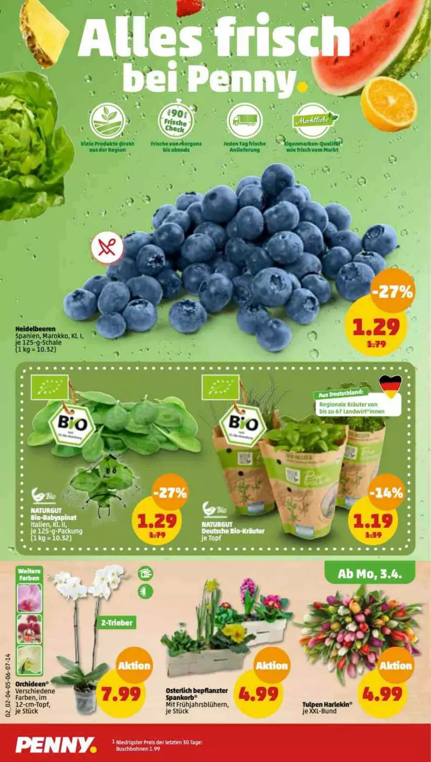 Aktueller Prospekt Penny - Prospekte - von 03.04 bis 08.04.2023 - strona 2 - produkty: beere, beeren, heidelbeere, heidelbeeren, korb, orchidee, orchideen, Schal, Schale, topf, Yo, ZTE