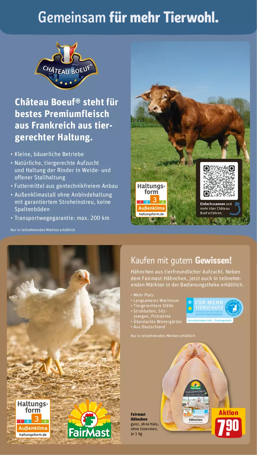 Aktueller Prospekt Rewe - Prospekte - von 04.09 bis 09.09.2023 - strona 11 - produkty: ball, Bau, eis, fleisch, leine, rind, rinder, Sport, Ti