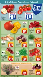 Gazetka promocyjna Rewe - Prospekte - Gazetka - ważna od 09.09 do 09.09.2023 - strona 7 - produkty: bio, blume, blumen, Blumenstrauß, Bundmöhren, cola, eis, elle, frucht, Kürbis, LG, möhren, paprika, passionsfrucht, reis, rispentomaten, rote tafeläpfel, rucola, Schal, Schale, Schalotte, Spitzpaprika, tafeläpfel, tafeltrauben, Ti, tiefpreis, tomate, tomaten, topf, trauben