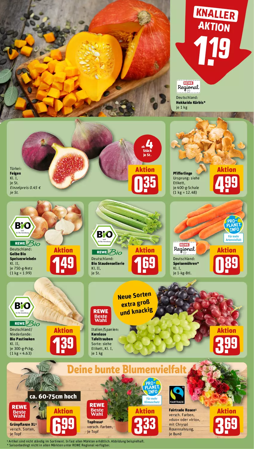 Aktueller Prospekt Rewe - Prospekte - von 25.09 bis 30.09.2023 - strona 11 - produkty: asti, bio, blume, blumen, eis, elle, Feigen, Kürbis, möhren, Pfifferlinge, pflanze, reis, rosen, Schal, Schale, speisemöhren, Speisezwiebeln, stauden, tafeltrauben, Ti, topf, trauben, zwiebel, zwiebeln