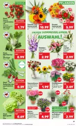Gazetka promocyjna Kaufland - Prospekt - Gazetka - ważna od 23.08 do 23.08.2023 - strona 21 - produkty: Abba, angebot, angebote, aust, Bau, beutel, bio, blume, blumen, Blumenstrauß, chrysanthemen, eis, eisbergsalat, erde, Garten, Germ, Gladiolen, hortensie, Lauchzwiebel, lauchzwiebeln, Pak Choi, pflanze, pflanzen, radieschen, Rauch, Ria, rispentomaten, salat, Schal, Schale, sonnenblume, sonnenblumen, Ti, tisch, tomate, tomaten, topf, Topfen, Vase, zwiebel, zwiebeln