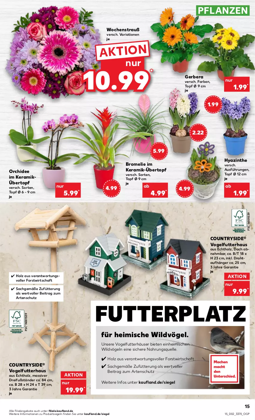 Aktueller Prospekt Kaufland - von 12.01 bis 18.01.2023 - strona 15 - produkty: angebot, angebote, Bromelie, Draht, elle, Gerber, Holz, orchidee, pflanze, pflanzen, Ria, sac, Ti, topf, topf ø 12 cm, übertopf, Vogelfutter, Wild