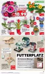 Gazetka promocyjna Kaufland - Gazetka - ważna od 18.01 do 18.01.2023 - strona 15 - produkty: angebot, angebote, Bromelie, Draht, elle, Gerber, Holz, orchidee, pflanze, pflanzen, Ria, sac, Ti, topf, topf ø 12 cm, übertopf, Vogelfutter, Wild