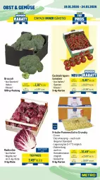 Gazetka promocyjna Metro - Wochen-Angebote Gastro - Gazetka - ważna od 24.01 do 24.01.2026 - strona 9 - produkty: ananas, beere, beeren, broccoli, cocktail, eis, heidelbeere, heidelbeeren, honig, honigmelone, honigmelonen, melone, melonen, obst, pommes, Radicchio, reis, rispentomaten, sac, Ti, tiefpreis, tomate, tomaten, zitrone, zitronen