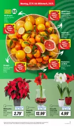 Gazetka promocyjna Lidl - Aktionsprospekt - Gazetka - ważna od 02.12 do 02.12.2023 - strona 3 - produkty: angebot, bio, Blüte, clementinen, dekoration, eis, grapefruit, mandarine, mandarinen, orange, orangen, pflanze, pflanzen, reis, tee, Ti, topf, Weihnachtsstern, zitrone, zitronen, ZTE