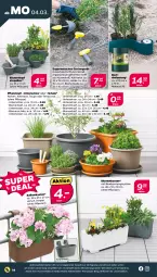 Gazetka promocyjna Netto - Woche 10 - Gazetka - ważna od 09.03 do 09.03.2024 - strona 14 - produkty: auer, blume, blumen, elle, Garten, pflanze, pflanzen, Pflanztopf, Ria, Schal, Schale, Ti, topf, Untersetzer, ZTE