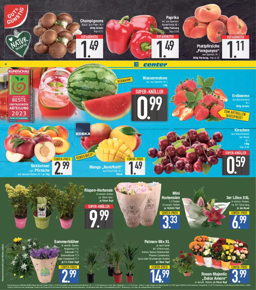 Aktueller Prospekt E Center - Angebote der Woche - von 19.06 bis 24.06.2023 - strona 6 - produkty: Abtei, Astra, beere, beeren, blume, braun, Campanula, champignon, champignons, deka, eis, Elefant, ente, erdbeere, erdbeeren, frucht, Garten, hama, hortensie, hortensien, kirsch, kirsche, kirschen, lebensmittel, mango, melone, Nektar, nektarinen, nektarinen oder, obst, oder pfirsiche, paprika, paraguayos, pfirsich, pfirsiche, pflanze, pflanzen, plattpfirsiche, reis, ring, rosen, Schal, Schale, sonnenblume, speyer, Stiegl, super-knüller, Ti, topf, wagner, wasser, wassermelone, Wild, Yo