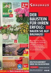 Gazetka promocyjna Bauhaus - Prospekte - Gazetka - ważna od 04.06 do 04.06.2022 - strona 5 - produkty: ACC, asti, aust, Bau, bio, Blüte, braun, dünger, erde, geranie, Germ, gin, kraft, lack, LG, natur, papier, pflanze, rasen, Ria, rwe, Schal, Stier, Ti, topf, usb