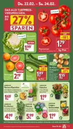 Gazetka promocyjna Aldi Nord - Von Montag - Gazetka - ważna od 24.02 do 24.02.2024 - strona 27 - produkty: aldi, angebot, beutel, bio, blume, blumen, blumenkohl, Blüte, Blutorange, braun, Brei, Container, eis, Gladiolen, hortensie, Kalanchoe, kirsch, kulturtopf, Narzissen, orange, orangen, pflanze, reis, Ria, rispentomaten, Schal, Schale, Ti, tomate, tomaten, topf, trolli, ZTE, zucchini, zwiebel, zwiebeln