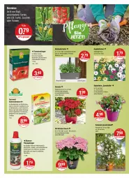 Gazetka promocyjna Vmarkt - V-Markt - Gazetka - ważna od 04.05 do 04.05.2022 - strona 20 - produkty: ananas, aust, Bau, blume, blumen, dip, dünger, eis, ferramol schneckenkorn, flüssigdünger, Garten, Gartenpflanze, geranie, gurke, hortensie, hortensien, im 9-cm-topf, Körbchen, korn, kräuter, küche, Küchen, mac, natur, obst, Pelargonium, pflanze, pflanzen, schneckenkorn, Stier, Ti, Tiere, tomate, tomaten, topf, übertopf, zucchini