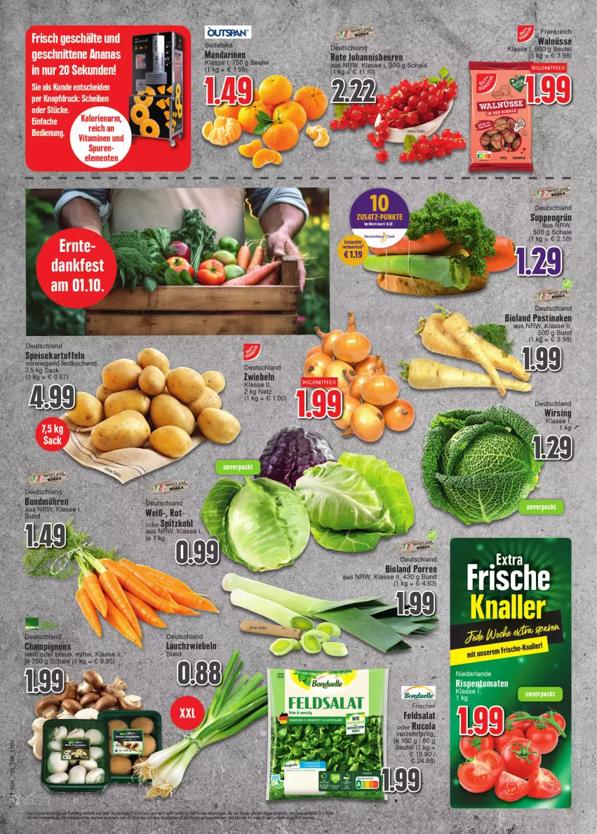 Aktueller Prospekt E Center - Angebote der Woche - von 25.09 bis 30.09.2023 - strona 4 - produkty: asti, beutel, bio, bioland, bonduelle, chia, cola, deka, eier, eis, elle, feldsalat, kartoffel, kartoffeln, nuss, rucola, salat, Schal, Schale, speisekartoffeln, suppe, suppen, tee, Ti, Wirsing, Yo, zwiebel, zwiebeln