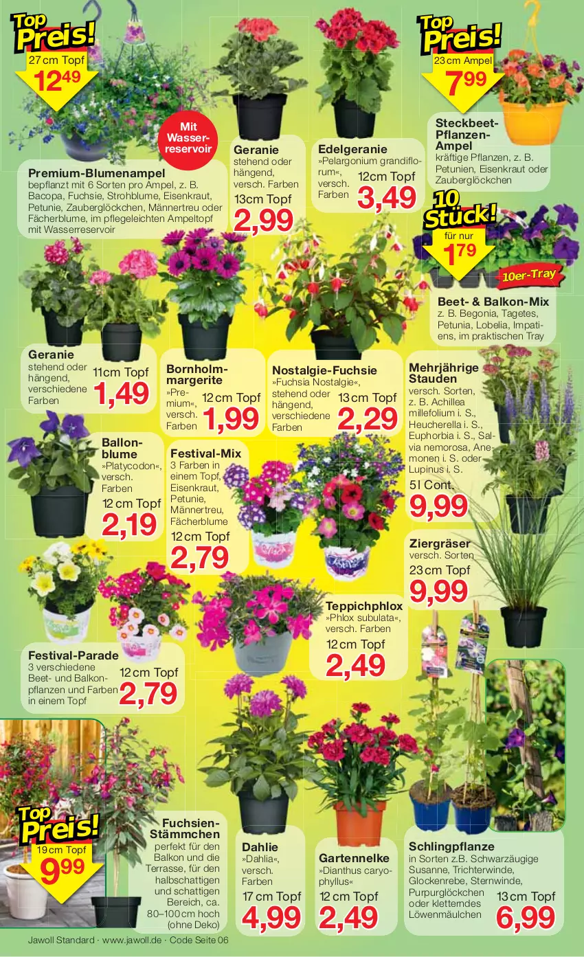 Aktueller Prospekt Jawoll - Prospekte - von 24.04 bis 30.04.2022 - strona 6 - produkty: ball, beetpflanzen, Begonia, blume, blumen, Blumenampel, dahlie, eis, Garten, gartennelke, geranie, Heu, HP, Kraut, LG, Pelargonium, petunie, petunien, pflanze, pflanzen, rel, rum, stauden, Strohblume, teppich, Ti, tisch, topf, wasser, Yo, zauberglöckchen