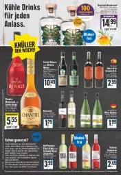Gazetka promocyjna Edeka - Angebote der Woche - Gazetka - ważna od 07.01 do 07.01.2023 - strona 20 - produkty: alkohol, alpia, eis, ente, flasche, gin, Glühwein, LG, Pinot, reis, Ria, rouge, schoko, schokolade, Ti, tonic, wein, weinbrand, weine, Weste, ZTE