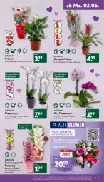 Gazetka promocyjna Aldi Nord - Aldi-Vorschau - Gazetka - ważna od 07.05 do 07.05.2022 - strona 15 - produkty: aldi, blume, blumen, Blüte, Brei, eis, elle, erde, gin, hero, kulturtopf, LG, orchidee, orchideen, pflanze, phalaenopsis, reis, Ria, Ti, topf, Tüte, übertopf, uhr