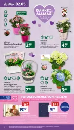 Gazetka promocyjna Aldi Nord - Aldi-Vorschau - Gazetka - ważna od 07.05 do 07.05.2022 - strona 16 - produkty: aldi, angebot, Anhänger, Blüte, Brei, chrysanthemen, eis, elle, Gerber, gin, gutschein, hama, hortensie, Kalanchoe, korb, kulturtopf, mam, ndk, pflanze, pflanzen, reis, Ria, rind, rindenmulch, ring, Ti, topf, ZTE