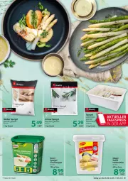 Gazetka promocyjna Selgros - Food - Gazetka - ważna od 11.05 do 11.05.2022 - strona 29 - produkty: beutel, creme, cremesuppe, eis, grüner spargel, hollandaise, knorr, maggi, reis, sauce, sauce hollandaise, Schal, Schale, spargel, spargel grün, suppe, Ti