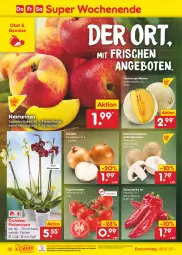 Gazetka promocyjna Netto Marken-Discount - Filial-Angebote - Gazetka - ważna od 08.07 do 08.07.2023 - strona 32 - produkty: angebot, angebote, asti, bestpreis, Blüte, braun, Cantaloupe-melone, champignon, eis, Elan, fleisch, melone, ndk, Nektar, nektarinen, obst, orchidee, orchideen, paprika, paprika rot, phalaenopsis, reis, rispentomaten, Schal, Schale, Spitzpaprika, Ti, tomate, tomaten, topf, zwiebel, zwiebeln