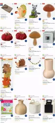 Gazetka promocyjna Dm Drogerie - Prospekte - Gazetka - ważna od 22.11 do 22.11.2023 - strona 2 - produkty: apfel, Aufbewahrungsdose, Bau, braun, creme, decke, eis, elle, Girlande, Holz, hörnchen, korb, Kürbis, orange, quad, sac, tee, teller, Ti, tisch, Untersetzer, Vase