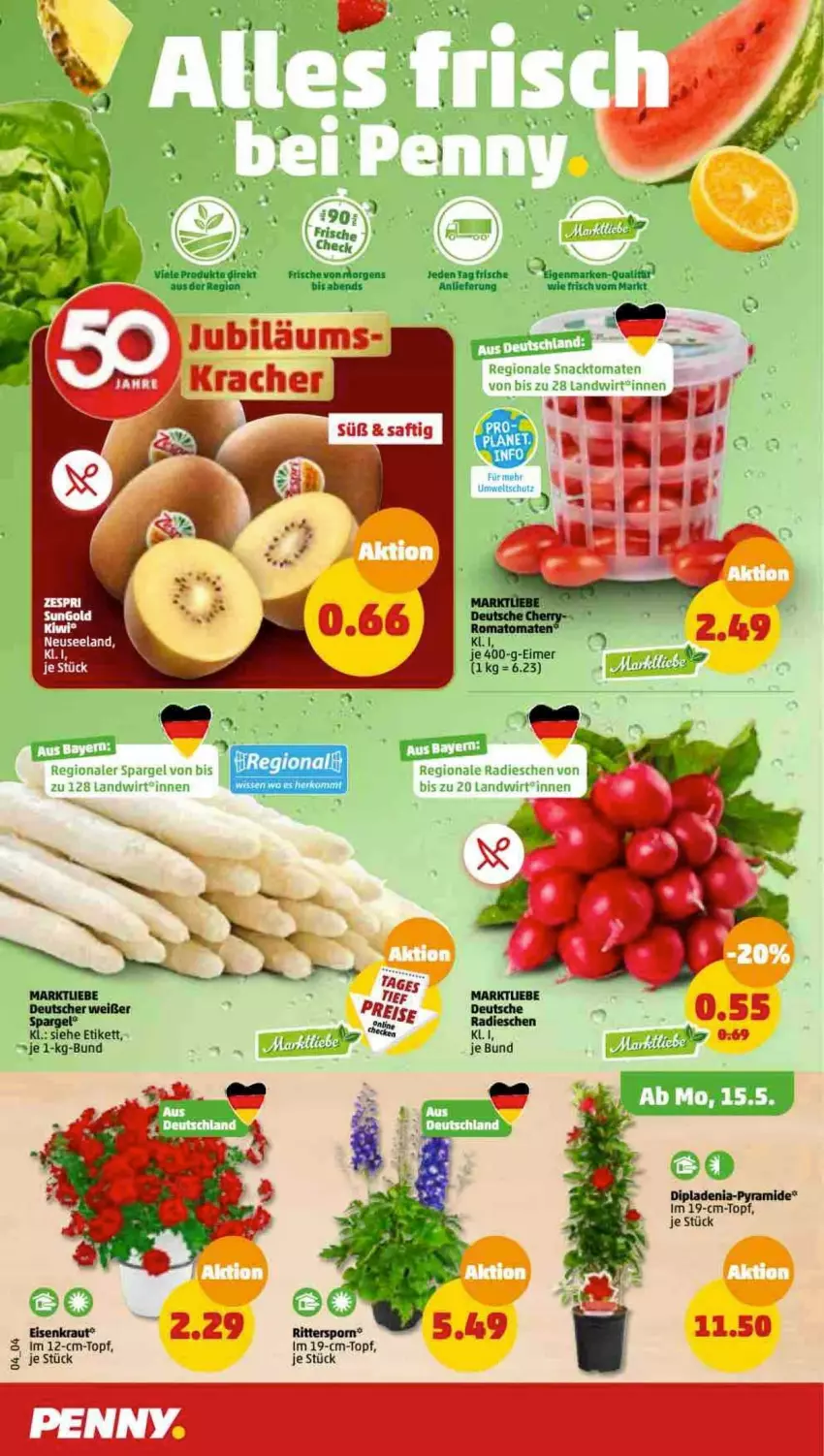 Aktueller Prospekt Penny - Prospekte - von 15.05 bis 20.05.2023 - strona 4 - produkty: arla, dip, dipladenia, eimer, eis, Elan, kiwi, kracher, Kraut, reis, Romatomaten, saft, spargel, Ti, tomate, tomaten, topf