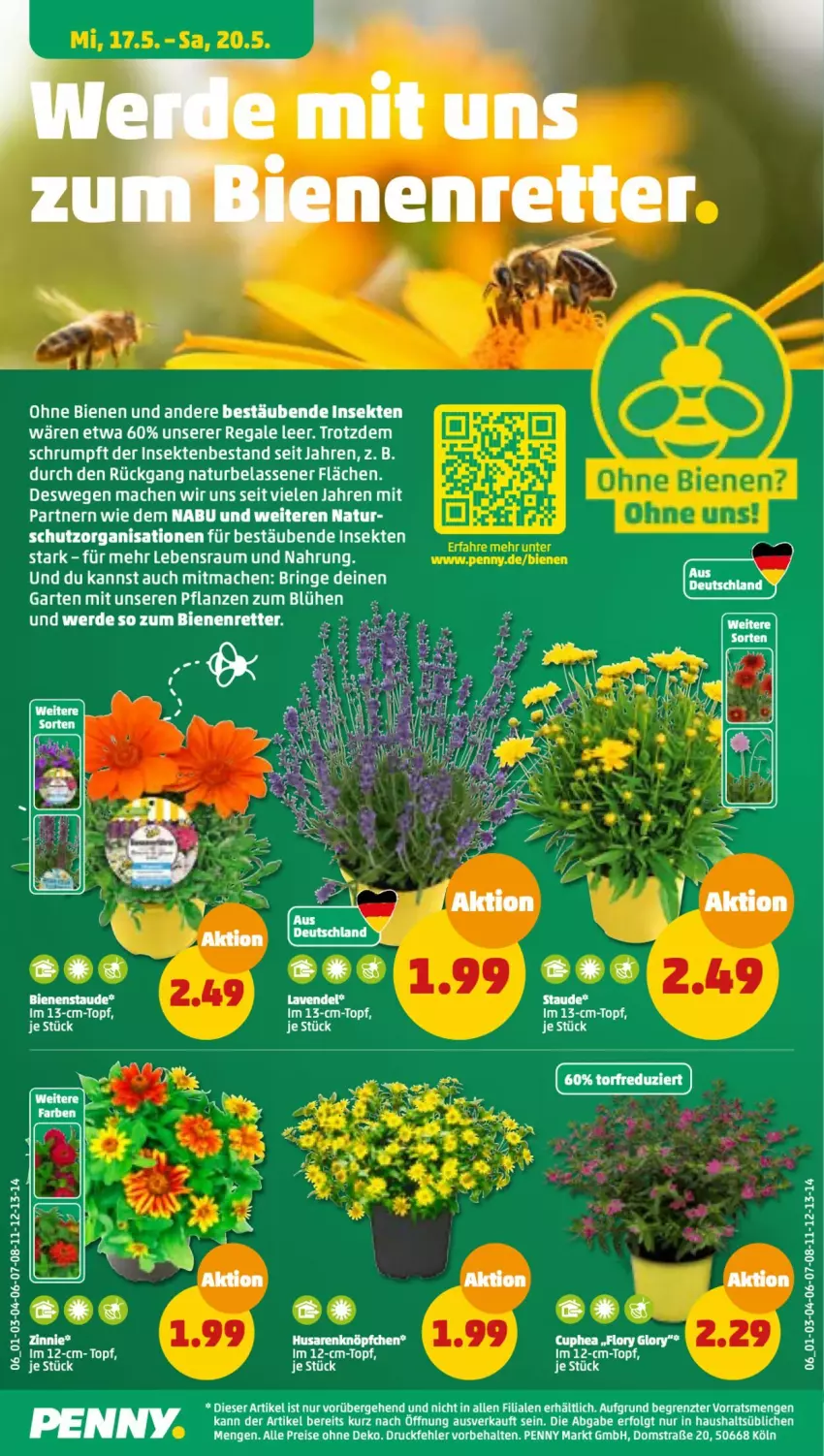 Aktueller Prospekt Penny - Prospekte - von 15.05 bis 20.05.2023 - strona 6 - produkty: eis, erde, Garten, lavendel, LG, mac, natur, pflanze, pflanzen, regal, reis, ring, rum, sekt, Ti, topf, ZTE