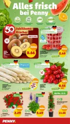 Gazetka promocyjna Penny - Prospekte - Gazetka - ważna od 20.05 do 20.05.2023 - strona 4 - produkty: arla, dip, dipladenia, eimer, eis, Elan, kiwi, kracher, Kraut, reis, Romatomaten, saft, spargel, Ti, tomate, tomaten, topf