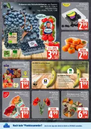 Gazetka promocyjna Edeka - Prospekte - Gazetka - ważna od 06.12 do 06.12.2025 - strona 8 - produkty: banane, Bau, beere, beeren, bio, brombeere, brombeeren, deka, dünger, edeka bio, eis, elle, erdbeere, erdbeeren, heidelbeere, heidelbeeren, Kaki, mac, payback, pflanze, pflanzen, reis, tesa, Ti, veggie, ZTE