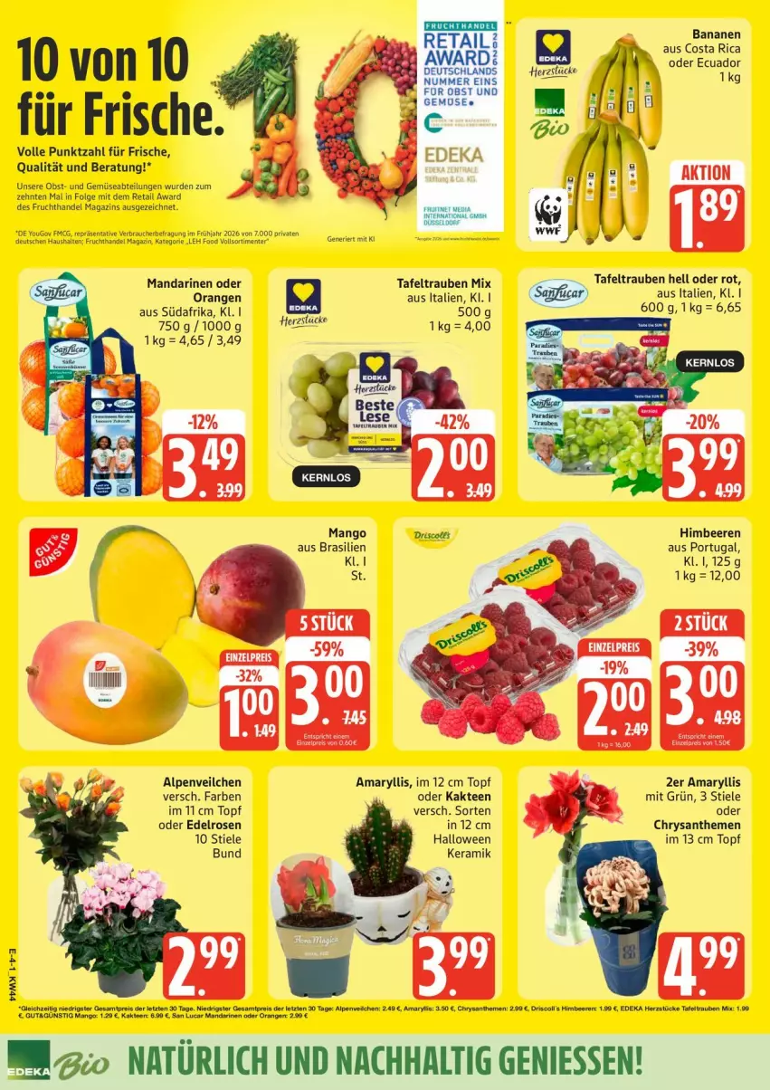 Aktueller Prospekt Edeka - Prospekte - von 26.10 bis 31.10.2026 - strona 4 - produkty: Abtei, Alpenveilchen, banane, bananen, beere, beeren, chrysanthemen, deka, eis, ente, frucht, gemuse, himbeer, himbeere, himbeeren, Kaktee, LG, magazin, mandarine, mandarinen, mango, obst, orange, orangen, Rauch, reis, rosen, tafeltrauben, tee, Ti, topf, trauben, und gemüse, Yo, ZTE