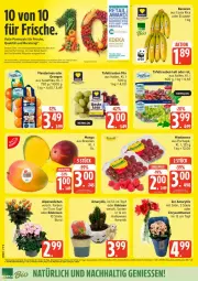 Gazetka promocyjna Edeka - Prospekte - Gazetka - ważna od 31.10 do 31.10.2026 - strona 4 - produkty: Abtei, Alpenveilchen, banane, bananen, beere, beeren, chrysanthemen, deka, eis, ente, frucht, gemuse, himbeer, himbeere, himbeeren, Kaktee, LG, magazin, mandarine, mandarinen, mango, obst, orange, orangen, Rauch, reis, rosen, tafeltrauben, tee, Ti, topf, trauben, und gemüse, Yo, ZTE