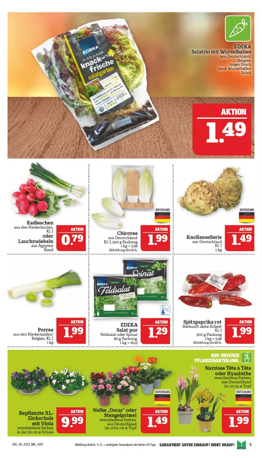 Aktueller Prospekt Marktkauf - Prospekt - von 19.02 bis 25.02.2023 - strona 5 - produkty: deka, eis, elle, feldsalat, Lauchzwiebel, lauchzwiebeln, LG, paprika, paprika rot, radieschen, reis, salat, Schal, Schale, spinat, Spitzpaprika, Ti, topf, ZTE, zwiebel, zwiebeln