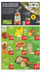 Gazetka promocyjna Marktkauf - Prospekt - Gazetka - ważna od 25.02 do 25.02.2023 - strona 6 - produkty: acer, banane, bananen, bio, chia, deka, edeka bio, eis, elle, Gemüsezwiebel, möhren, orange, orangen, pflanze, pflanzen, reis, stauden, suppe, tafeläpfel, Ti, ZTE, zwiebel, zwiebeln