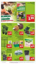 Gazetka promocyjna Marktkauf - Prospekt - Gazetka - ważna od 25.02 do 25.02.2023 - strona 7 - produkty: Abba, Bau, beetpflanzen, bio, blume, blumen, blumenerde, eis, erde, freilandkräuter, Gewächshaus, kokos, kräuter, ndk, pflanze, pflanzen, pflanzerde, Primeln, regal, reis, Ria, sac, Schal, Schale, Tasche, Ti, topf, übertopf, ZTE, zwiebel, zwiebeln