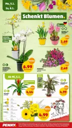 Gazetka promocyjna Penny - Prospekte - Gazetka - ważna od 08.01 do 08.01.2022 - strona 18 - produkty: Bromelie, eis, elle, Gerber, Kraut, orchidee, orchideen, pflanze, reis, tee, Ti, trommel, ZTE