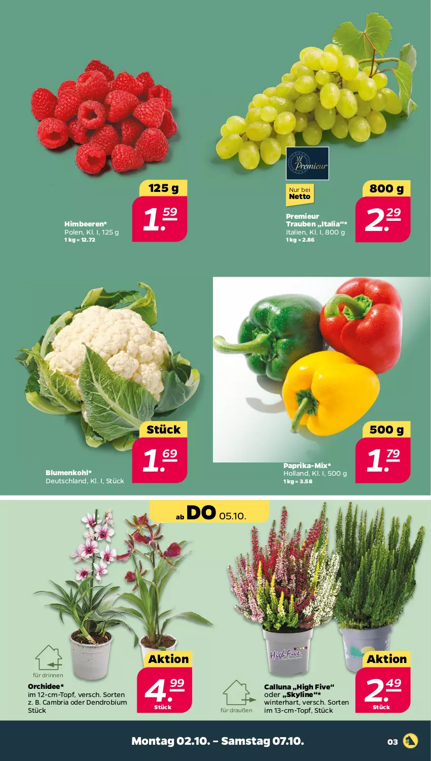 Aktueller Prospekt Netto - Woche 40 - von 02.10 bis 07.10.2023 - strona 3 - produkty: beere, beeren, blume, blumen, blumenkohl, himbeer, himbeere, himbeeren, orchidee, paprika, Ria, Ti, topf, trauben