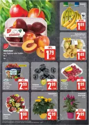 Gazetka promocyjna Edeka - Prospekte - Gazetka - ważna od 20.07 do 20.07.2024 - strona 4 - produkty: eis, Nektar, nektarinen, reis, Ti, ZTE