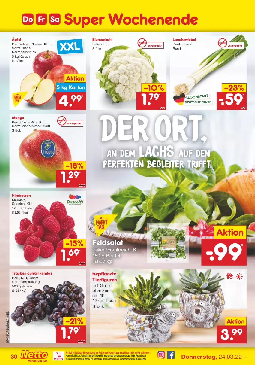 Aktueller Prospekt Netto Marken-Discount - Filial-Angebote - von 21.03 bis 26.03.2022 - strona 30 - produkty: asti, beere, beeren, beutel, blume, blumen, blumenkohl, eis, feldsalat, Grünpflanzen, himbeer, himbeere, himbeeren, lachs, Lauchzwiebel, mango, ndk, pflanze, pflanzen, reis, salat, Schal, Schale, Ti, trauben, versandkostenfrei, ZTE, zwiebel