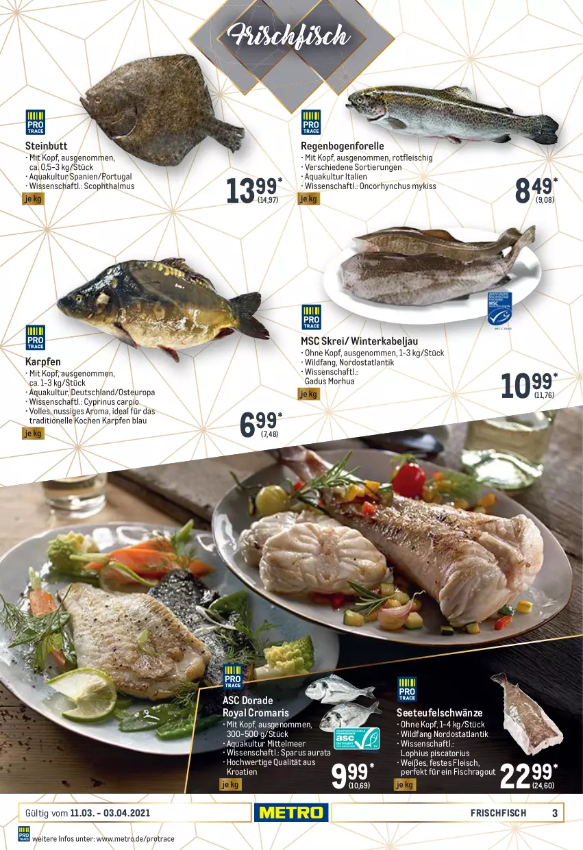 Aktueller Prospekt Metro - Feinkost Spezial - von 11.03 bis 03.04.2021 - strona 3 - produkty: aqua, Dorade, dorade royal, eis, elle, fisch, fleisch, forelle, frischfisch, Metro, nuss, Ragout, rel, Ti, Wild