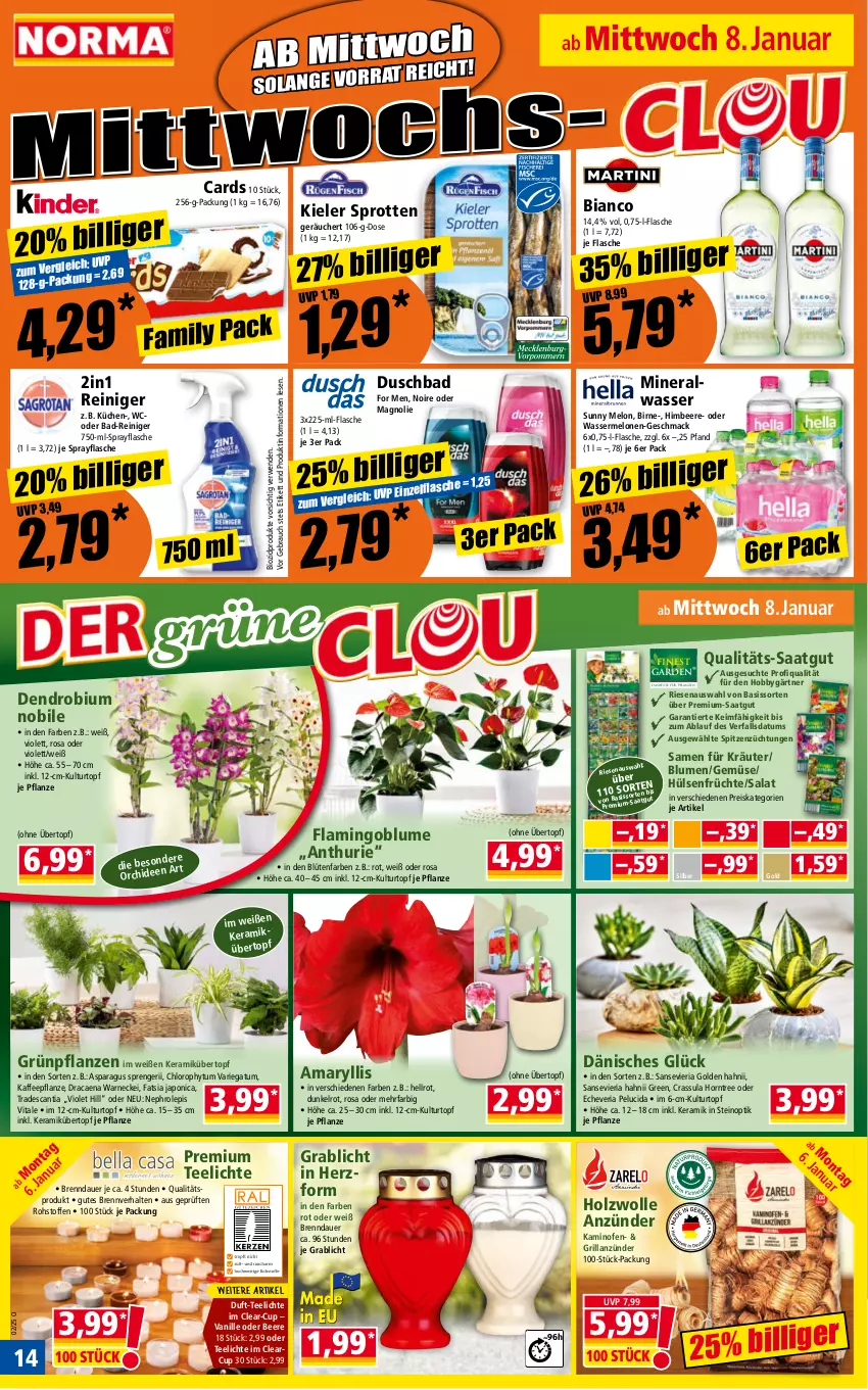 Aktueller Prospekt Norma - Norma - von 06.01 bis 13.01.2024 - strona 14 - produkty: Alwa, anzünder, auer, Bad, Bad-Reiniger, beere, bio, biozidprodukte, blume, blumen, Blüte, duschbad, eis, flasche, früchte, grill, grillanzünder, Grünpflanzen, himbeer, himbeere, Hobby, Holz, hülsenfrüchte, kaffee, Kamin, Kaminofen, kräuter, küche, Küchen, kulturtopf, mac, melone, melonen, mineralwasser, Ofen, pflanze, pflanzen, Rauch, reiniger, reis, Ria, rwe, salat, senf, Sprotten, tee, Teelicht, teelichte, Ti, topf, übertopf, vanille, vita, wasser, wassermelone, wassermelonen, wolle