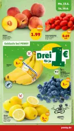 Gazetka promocyjna Penny - Prospekte - Gazetka - ważna od 18.06 do 18.06.2022 - strona 3 - produkty: beere, beeren, bio, heidelbeere, heidelbeeren, natur, pfirsich, pfirsiche, Romatomaten, Schal, Schale, Ti, tomate, tomaten, zitrone, zitronen