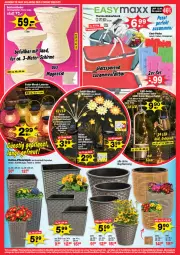 Gazetka promocyjna  - Prospekte - Gazetka - ważna od 25.04 do 25.04.2026 - strona 4 - produkty: angebot, angebote, blume, blumen, Garten, tee, Ti, wasser