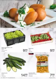 Gazetka promocyjna Selgros - Gastro - Gazetka - ważna od 25.01 do 25.01.2023 - strona 10 - produkty: bio, eis, gurke, kartoffel, radieschen, reis, rum, sac, salat, salate, Ti