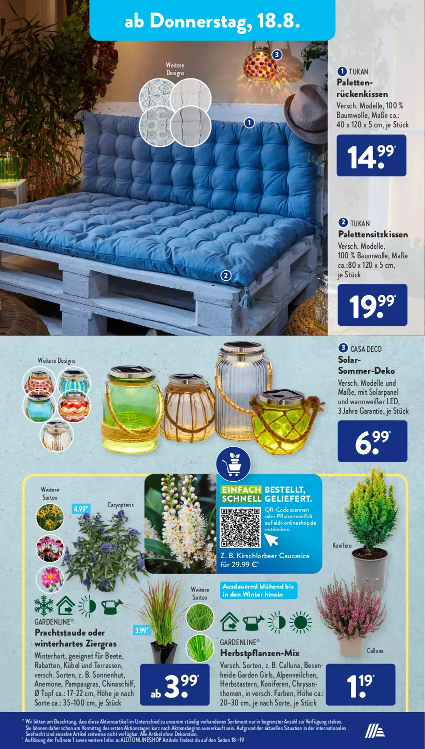 Aktueller Prospekt AldiSud - NÄCHSTE WOCHE - von 15.08 bis 20.08.2022 - strona 25 - produkty: aldi, alle artikel ohne dekoration, Alpenveilchen, auer, Bau, baumwolle, casa deco, chrysanthemen, decke, dekoration, dell, eis, elle, gardenline®, gin, kirsch, kissen, kleid, Kleidung, Konifere, Mode, Palette, pflanze, pflanzen, Rückenkissen, sitzkissen, Ti, topf, wolle, Yo, ZTE