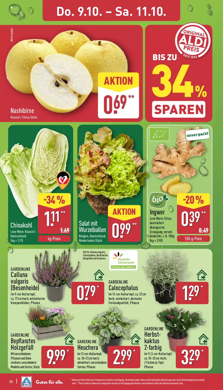 Aktueller Prospekt Aldi Nord - Von Montag - von 06.10 bis 11.10.2025 - strona 26 - produkty: ball, Blüte, Brei, dell, eis, elle, gin, Heu, Holz, ingwer, kulturtopf, LG, Mode, Nashi, pflanze, pflanzen, reis, salat, Ti, topf, trolli, ZTE