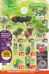 Gazetka promocyjna E Center - Angebote der Woche - Gazetka - ważna od 21.05 do 21.05.2022 - strona 2 - produkty: auer, balkonpflanzen, blume, blumen, blumenerde, buch, deka, deutschlandcard, dip, discount, dünger, eis, elle, ente, erde, geranie, geranien, gurke, gurken, gutschein, HP, paprika, pflanze, pflanzen, reis, Ria, sekt, sonderposten, Spezi, Tchibo, telefon, Ti, tisch, tomate, tomaten, topf, WICK, zucchini