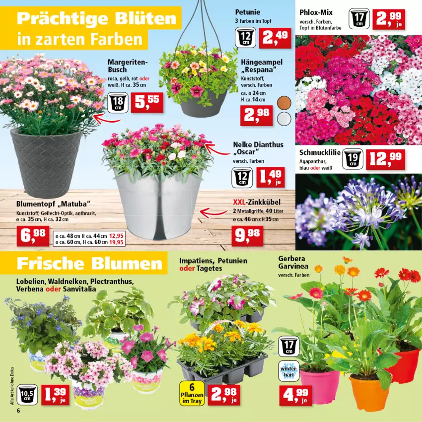 Aktueller Prospekt Thomas Philipps - Prospektwerbung - von 25.04 bis 30.04.2022 - strona 6 - produkty: blume, blumen, Blüte, Gerber, Hängeampel, LG, petunie, petunien, Schmuck, Ti, topf