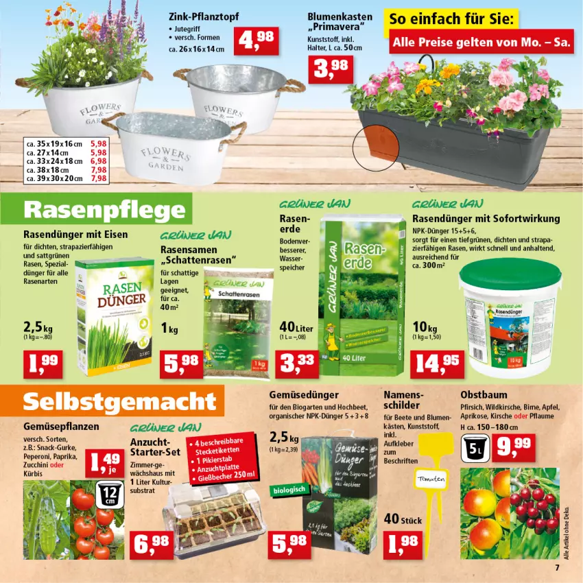 Aktueller Prospekt Thomas Philipps - Prospektwerbung - von 25.04 bis 30.04.2022 - strona 7 - produkty: apfel, aprikose, Bau, bio, blume, blumen, deka, dünger, eis, erde, Garten, Gemüsedünger, grüner jan, gurke, kirsch, kirsche, kleber, Kürbis, mac, obst, paprika, peperoni, Peroni, pfirsich, pflanze, pflanzen, Pflanztopf, pflaume, rasen, rasendünger, rasensamen, reis, rosen, snack, Spezi, Ti, tomate, tomaten, topf, wasser, Wild, zucchini