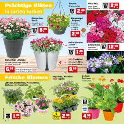 Gazetka promocyjna Thomas Philipps - Prospektwerbung - Gazetka - ważna od 30.04 do 30.04.2022 - strona 6 - produkty: blume, blumen, Blüte, Gerber, Hängeampel, LG, petunie, petunien, Schmuck, Ti, topf