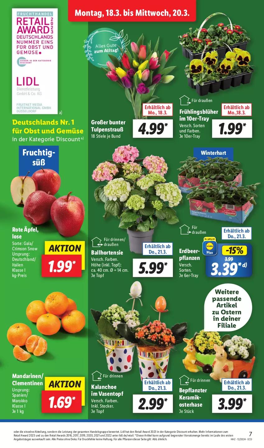 Aktueller Prospekt Lidl - Aktionsprospekt - von 18.03 bis 23.03.2024 - strona 7 - produkty: Abtei, angebot, ball, clementinen, discount, eis, Erdbeerpflanze, frucht, hortensie, Kalanchoe, mandarine, mandarinen, obst, Obst und Gemüse, pflanze, pflanzen, reis, Ti, topf, und gemüse, Vase, ZTE